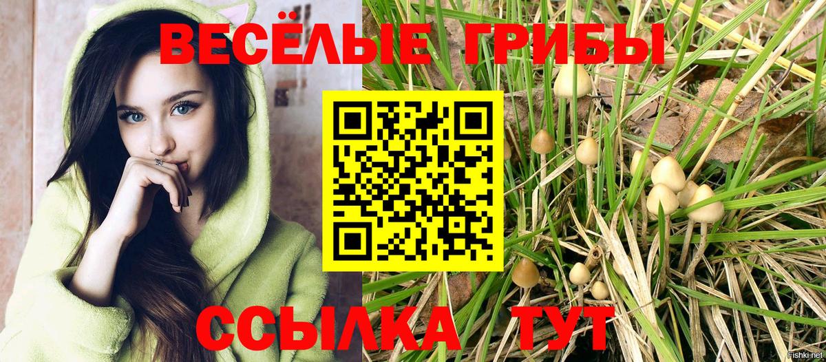 Псилоцибиновые грибы Psilocybe  Вход с VPN  Тавда  Галлюциногенные грибы ЛСД 